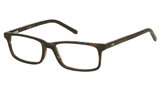 Kubni Tortoiseshell Slim Wayfarer